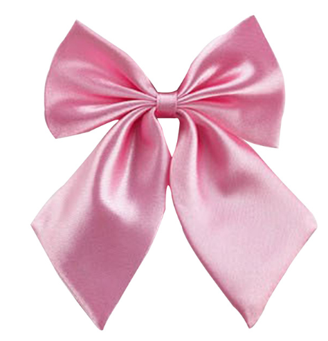 Women's professional dress female college wind Japanese and Korean version of the student bank hotel bow tie collar flower