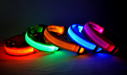 Nylon LED Pet Dog Luminous Collar Night Safety Flashing Glow in Dark Dog Cat Leash Adjustable Pet Supplies