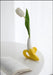 Real Ceramic Banana Vase Hydroponic Flower Arrangement