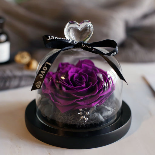 Valentine's Day Birthday Gift Gift Box Glass Cover Big Rose Immortal Flower