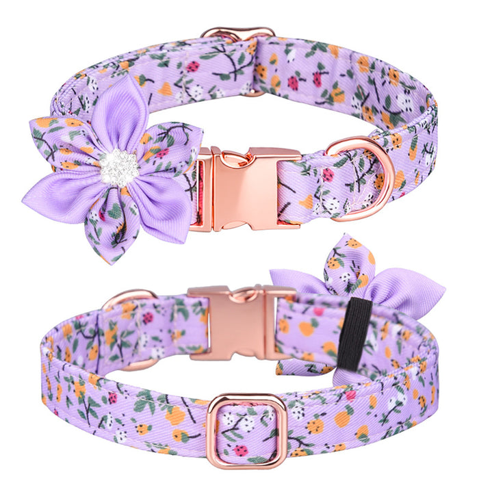 Custom Pet Collar And Leash Set