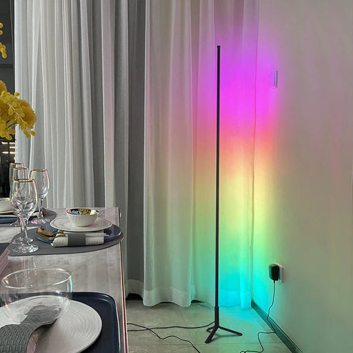 Remote Control Decorative Floor Lamp for Living Room