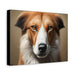 Endearing features that make each dog unique - Dog Face - Gallery Wraps Artwork - FORHERA DESIGN - Canvas