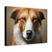 Endearing features that make each dog unique - Dog Face - Gallery Wraps Artwork - FORHERA DESIGN - Canvas