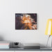 FD - Space moon Gallery Wraps - FORHERA DESIGN - Canvas