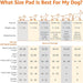 Amazon Basics Dog and Puppy Pads - Leak-proof 5-Layer, Quick-dry Surface - Regular Size (22 x 22 Inches), Pack of 100