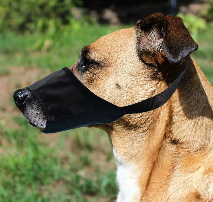 Anti-bite Anti-miseating Dog Mouth Cover Waterproof Bark Stopper