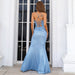 Backless Sleeveless Long Prom Evening Gown