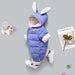 Hooded Cartoon Warm Romper Crawling Suit