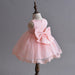 New Winter Dress Dress Baby Baby Full Moon Princess Skirt Dress Shaqun Girls Lotus