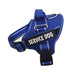 Personalization Of Pet Chest Strap Products