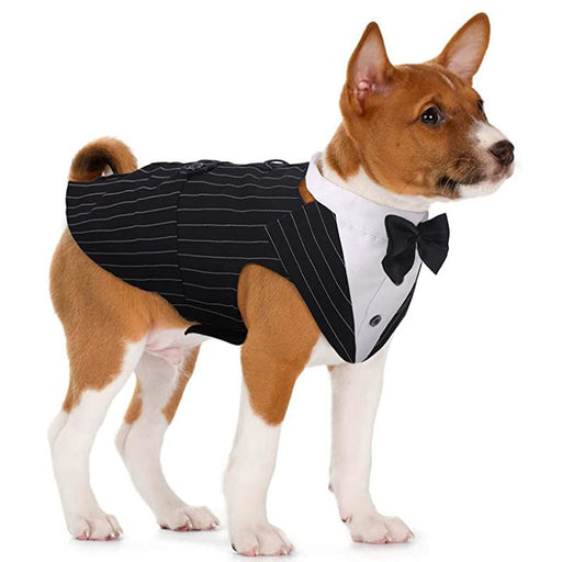 Pet Suit Dog Triangular Binder Big Dog Clothes