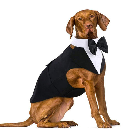 Pet Suit Dog Triangular Binder Big Dog Clothes