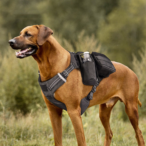 Pet Walking Dog Leash Chest Strap Comfortable Waterproof