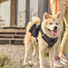 Pet Walking Dog Leash Chest Strap Comfortable Waterproof