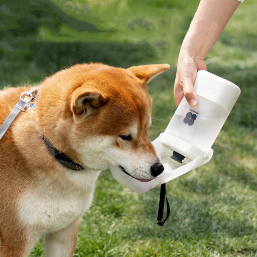 Portable Dog Outgoing Cup Walk