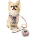 Puppy dog leash