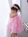 The Spring And Summer - Infant Baby Child Princess Dress Girls Dress Pink Flower Girl Dress Skirt