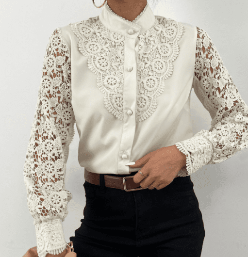 Women's Long Sleeve Lace Fashion V-neck Top